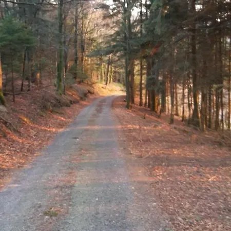 Hébergement de vacances Le Sauceley Maison De Pour 6 à 10 Personnes