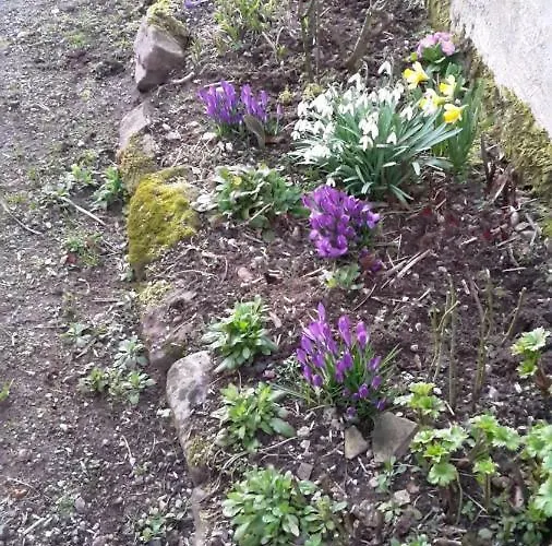 Le Sauceley Maison De Pour 6 A 10 Personnes *