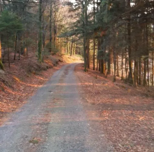 بيت للعطل Le Sauceley Maison De Pour 6 A 10 Personnes